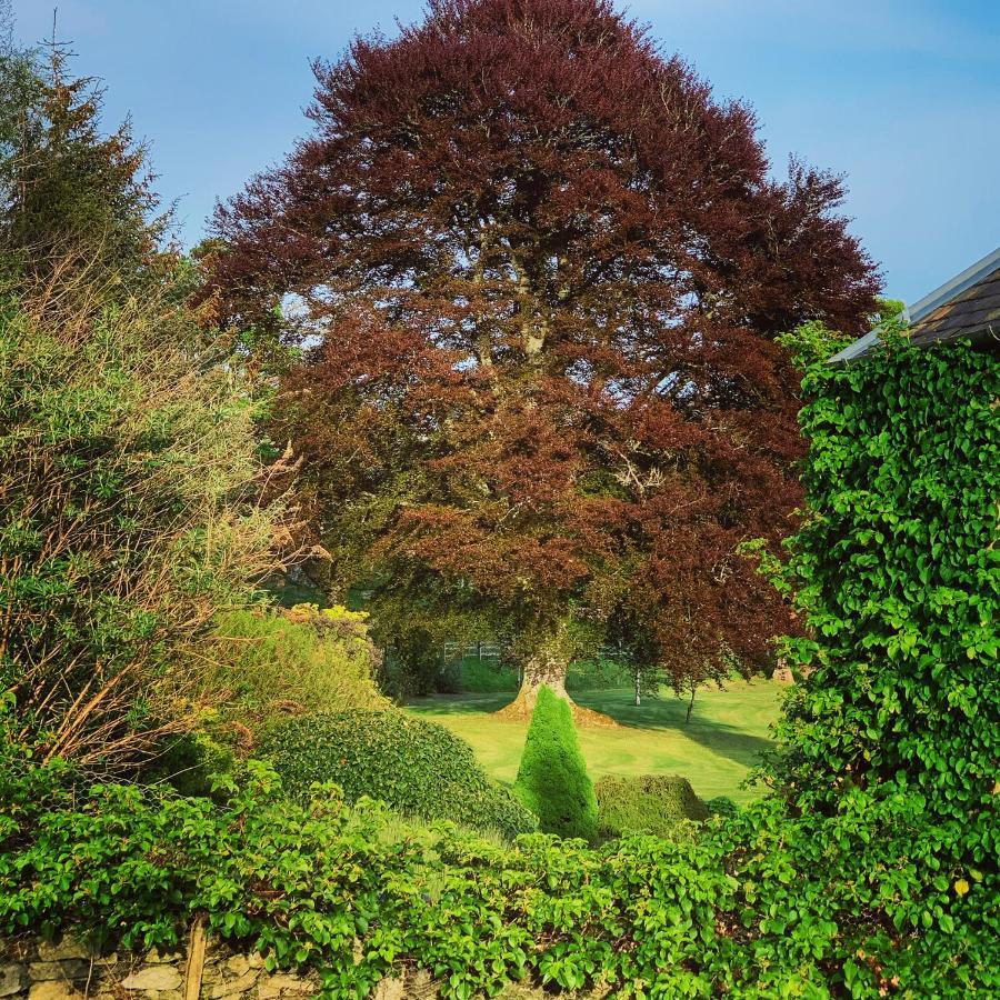 The Old Manse Of Blair, Boutique Hotel & Michelin Restaurant Blair Atholl Eksteriør billede